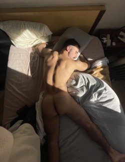 cabezadetoro: