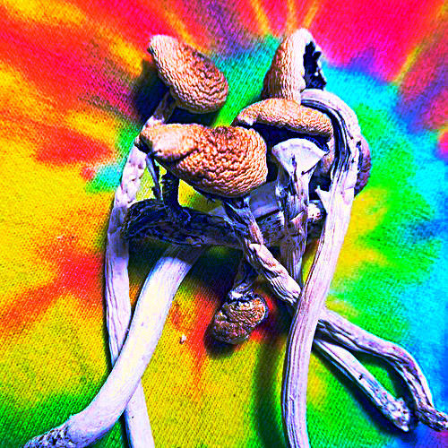 wahzoo.tumblr.com/post/94779863409/