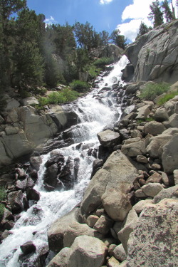 letsbeforestfriends:  A waterfall  in the