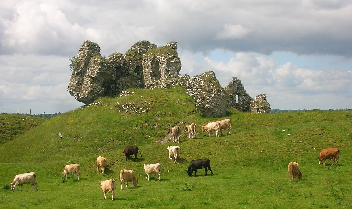 archaicwonder:  Clonmacnoise Castle, County Offaly, Ireland During the period of