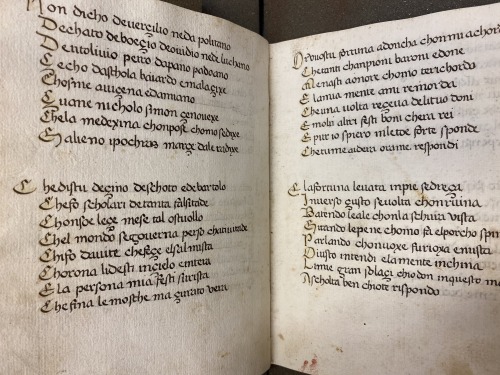 Ms. Codex 270 -Libro di Santo Justo PaladinoWritten somewhere in Italy in the 15th century, this man