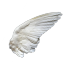 ingenuenaif