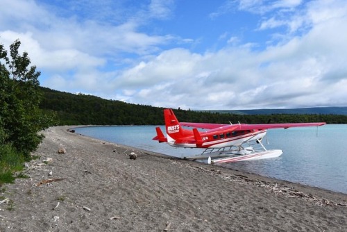 Brooks Camp is visited by dozens of float planes everyday during peak season. #alaska #katmai #katma