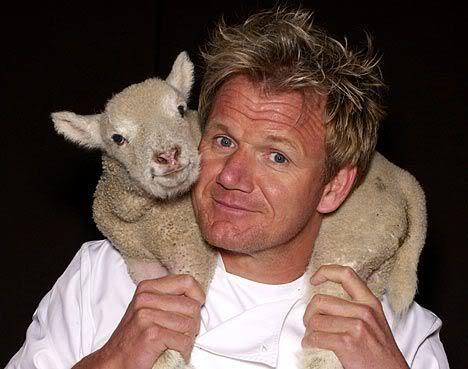 i-aint-bovvered-deactivated2014:  just in case you didn’t notice: gordon ramsay