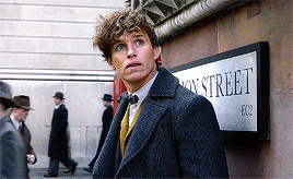 emmaduerrewatson:There’s a rumour that Newt Scamander is headed to Paris.- Fantastic Beasts: The Cri