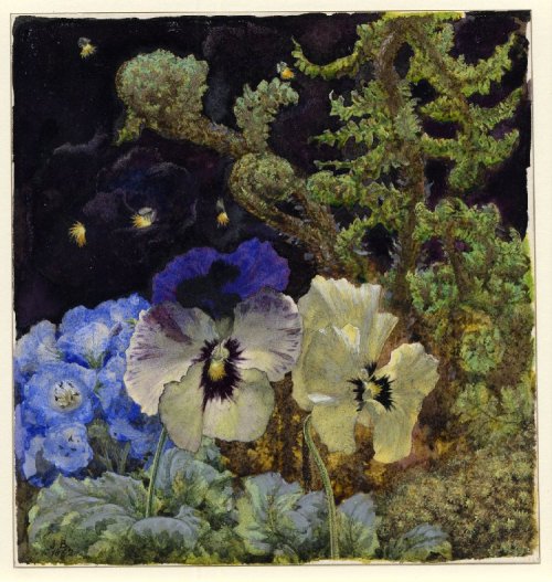 Heartsease (close-up study of yellow, blue and black pansies, delphinia, moss and fern-shoots) by Jo