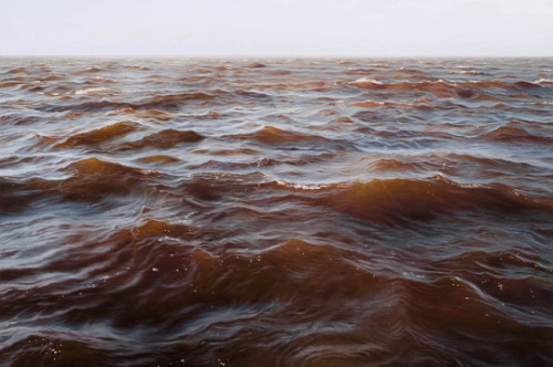 deletingmyself: (by Matthew Cornell)