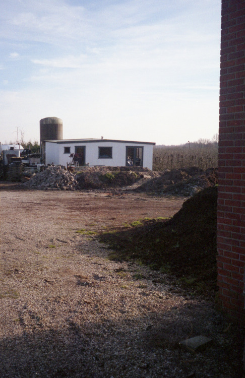 Ameide, Netherlands | January 2021 | Contax TVS on Polaroid 200