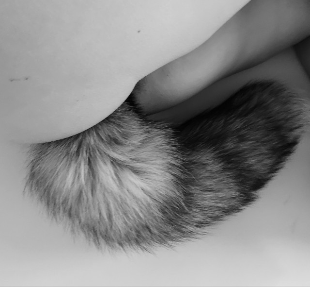 carlotta1869:What do you think of my tail?