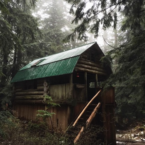 northwoodswonder:+