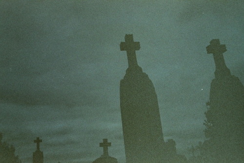 insects-in-every-hole: Catholic Cemetery in Lindsay, Texas, 9/18