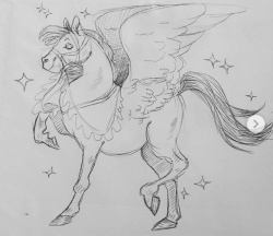 ragingrexasaurus: A Pegasus drawing I did