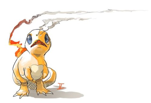 twarda - Charmander sketches