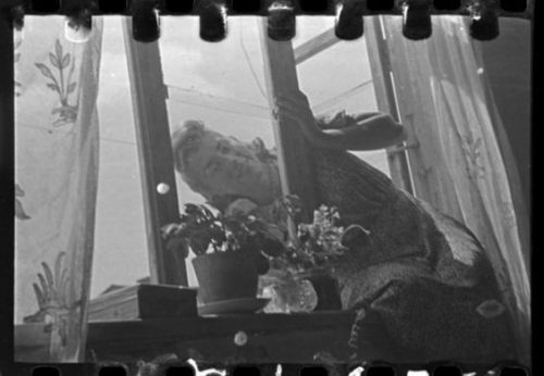 1940-1944: Portrait Of Stefania Schoenberg Posing In The Window.Henryk Ross