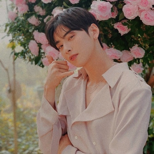 Cha Eun Woo Icons !