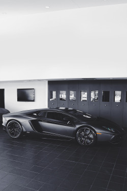 envyavenue:  Nero Nemesis Matte | Photographer