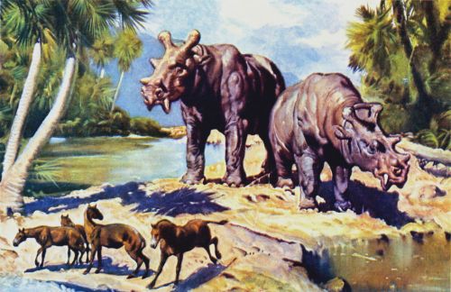 vintagegeekculture: Zdenek Burian’s Cenozoic Mammals.