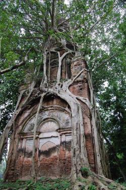 Evilbuildingsblog:being Reclaimed By Nature