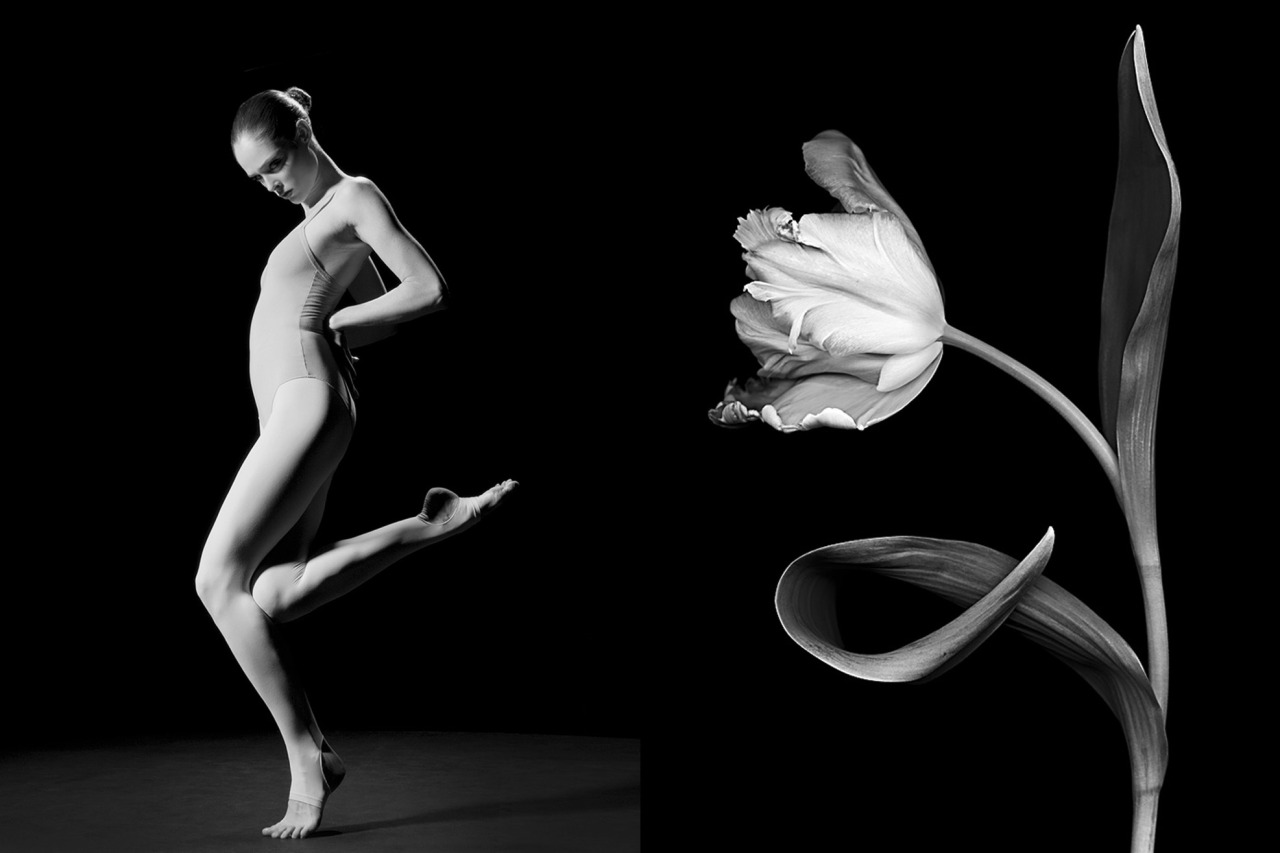 Anthony Luke's not-just-another-photoblog Blog: 1000 Poses by model Coco  Rocha and Photographer Steven Sebring