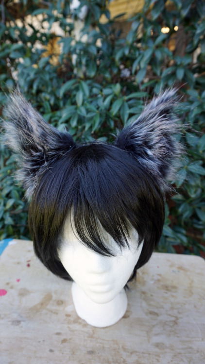  Cat/Fox Headband Ears Updated pic of midnight fox ears. Super pretty with the new wig! (:See someth