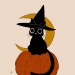 libbyframe:Witch cat 