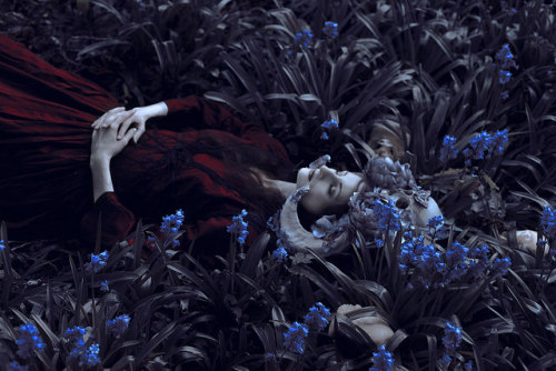 notesofgaia:  The Slumber Of Spring by Laura Sheridan’s Art on Flickr.
