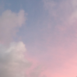 glowymess:summer inspired moodboard part 2 (none of these pics are mine!)