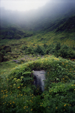 Brutalgeneration:  Vík, Iceland (By Phoebe Autry)