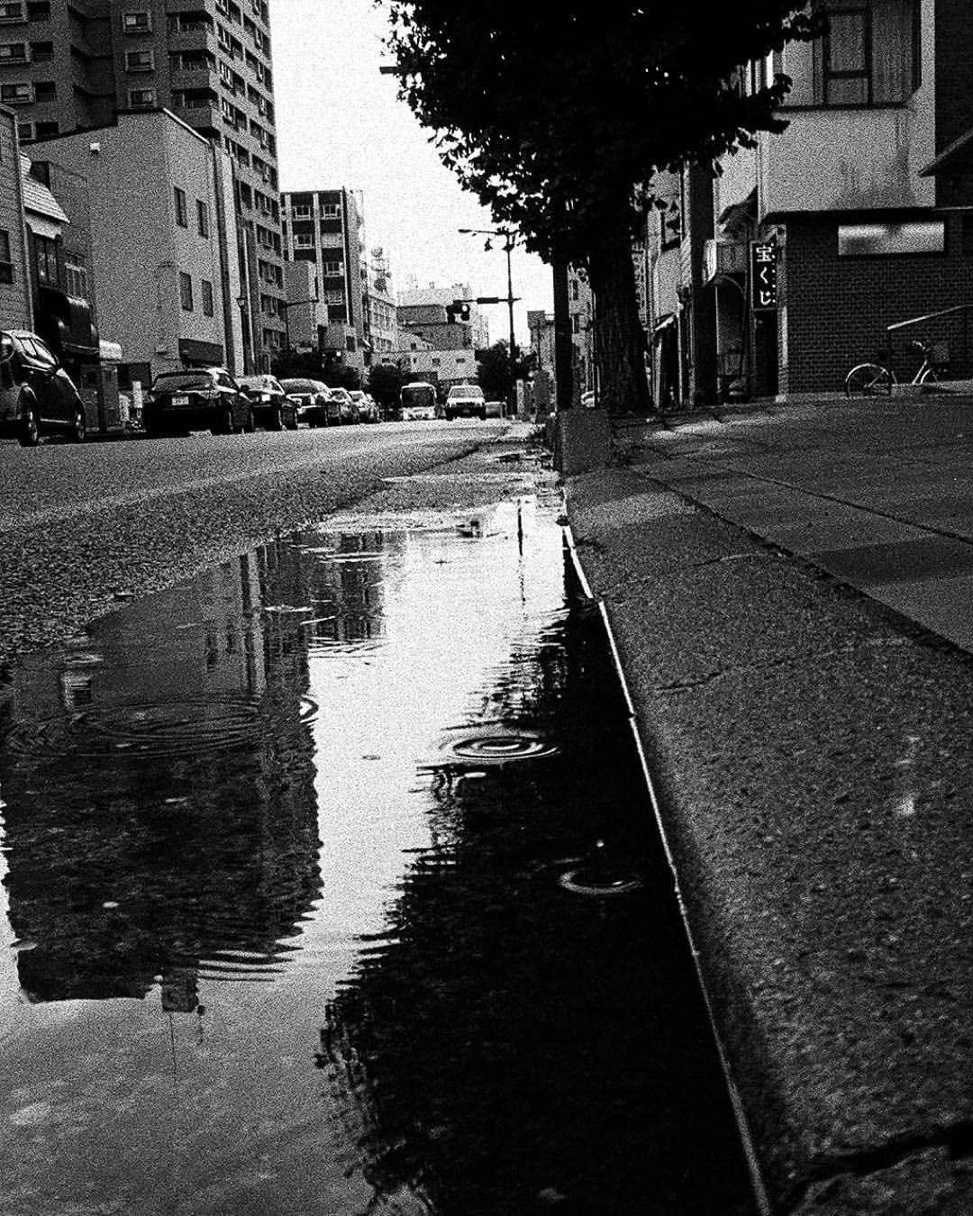 心情透写 いつもの道 いつもと違う世界 モノクロ Monochrome 白黒 フィルム写真 心情透写 いつもの道 いつもと違う世界 モノクロ Monochrome 白黒 フィルム写真