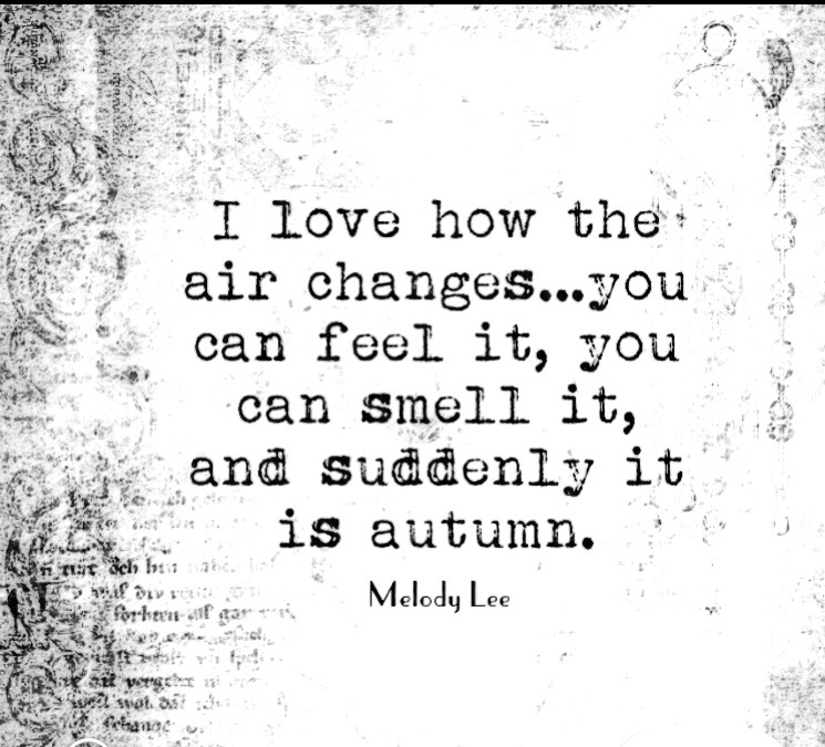 melodyleepoetry: