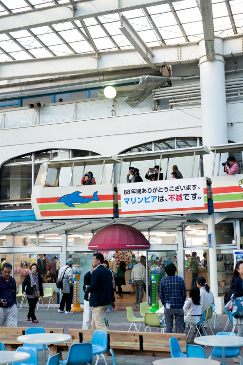 2015年5月10日。宮城県宮城郡松島町の『マリンピア松島水族館』、閉館の日。88年の歴史に幕を閉じました。その最終日に訪れた水族館の様子です。