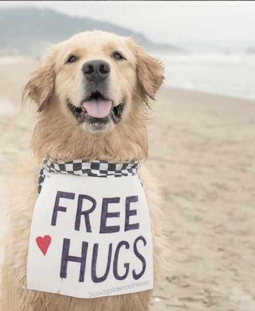 Free hugs