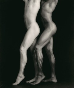 literatortablog:  Robert Mapplethorpe: Look at the Pictures, 2016
