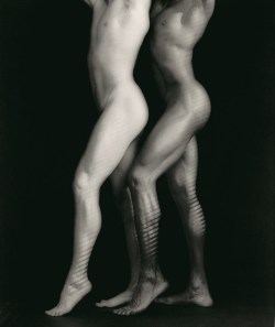 literatortablog:  Robert Mapplethorpe: Look