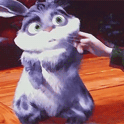 loakspider:  Baby Bunnymund appreciation; more like adorable grumblebum I love how