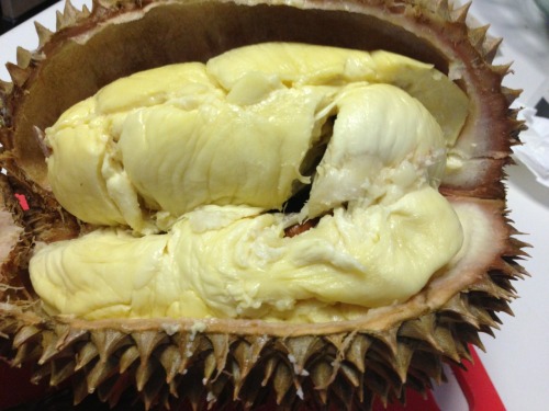 YUMMY DURIAN!