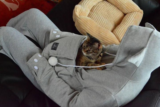 ultrafacts:    The Mewgaroo Hoodie is a hoodie with a giant pouch on the front for