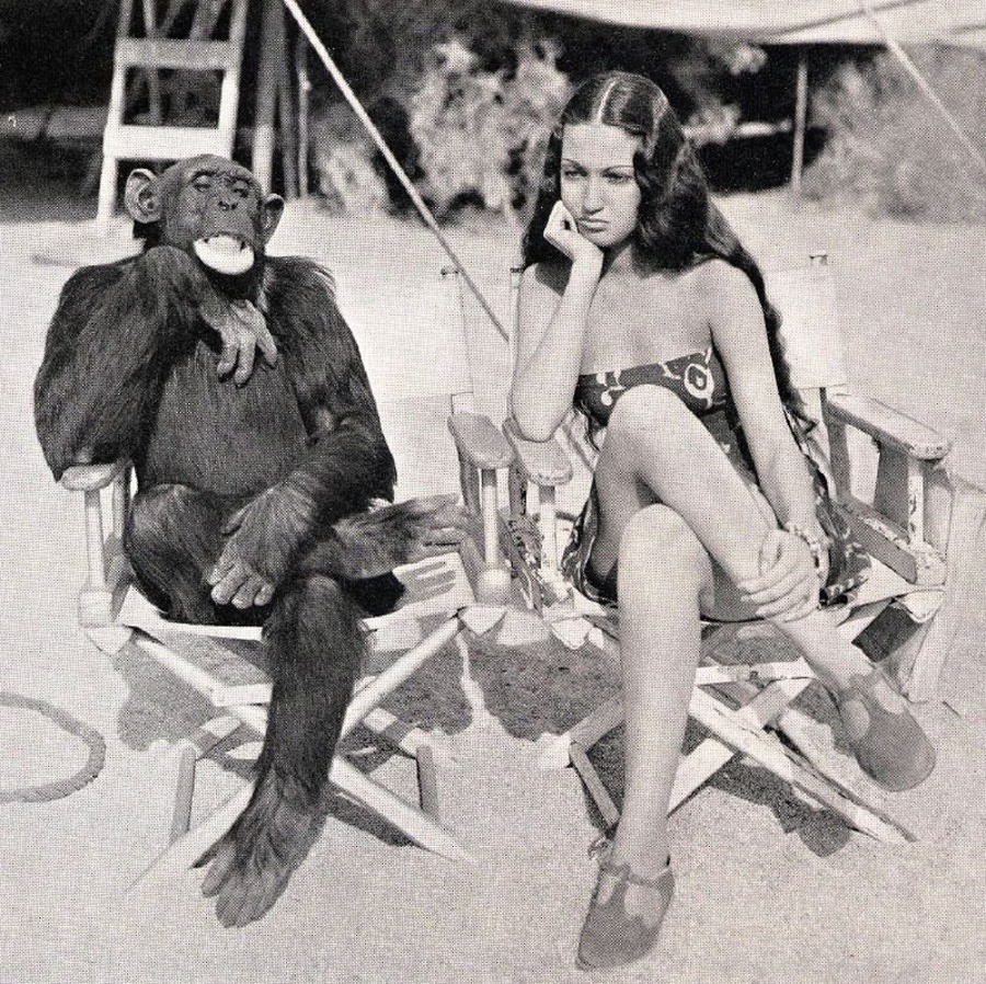 “Jiggs” the chimpanzee, on the movie set of  “Her Jungle Love” with Dorothy