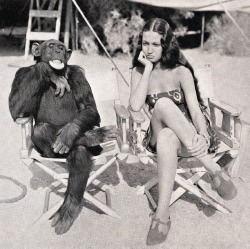 “Jiggs” The Chimpanzee, On The Movie Set Of  “Her Jungle Love” With Dorothy