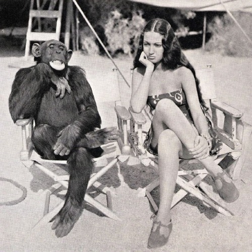 Porn Pics “Jiggs” the chimpanzee, on the movie