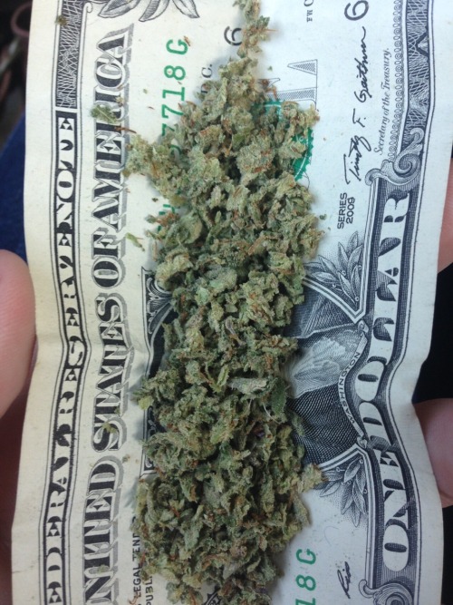 pfarm1990: #twistin up #cash #kush #stonerlife #loudpack