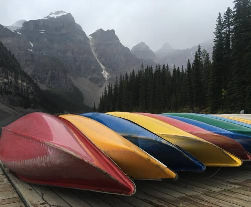 #morainelake #lakemoraine #banff #lakelouise #Alberta #Canada #neverstopexploring #therockies #canoe