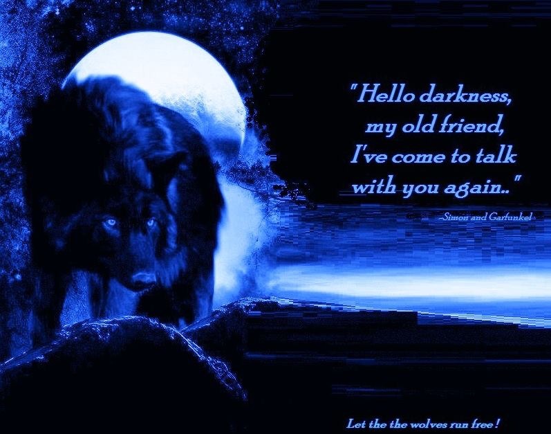 Quotes on Tumblr: Image tagged with wolf quotes, wolves, wolf