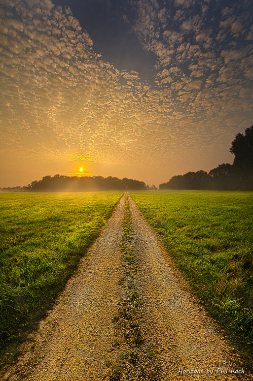 “Bound To Nowhere”Wisconsin Horizons by Phil KochTurning natural landscapes into portrai