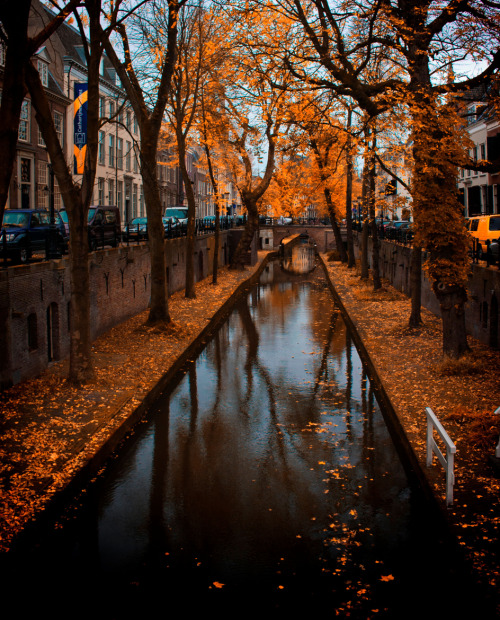 allthingseurope:Utrecht, Netherlands (by Jurjen Harmsma)