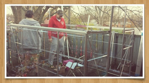 bambuita: THE 2nd GREENHOUSE IS UP ! THANKS TO MY HUBBY @redskins29 &amp; OUR OLDEST DAUGHTER so