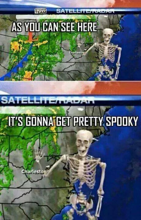 fletcher-renns-hair:my prediction for tumblr october