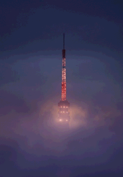 flyngdream:WOW inc - Tokyo Dense Fog | gif