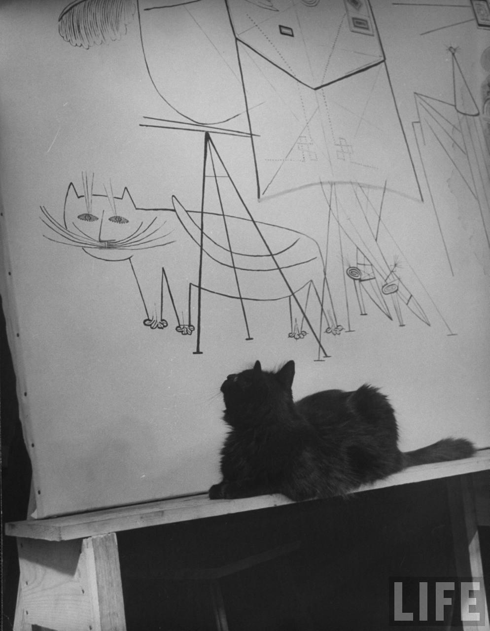 poetryconcrete:  Gjon Mili’s cat Blackie looking at his portrait by Saul Steinberg
