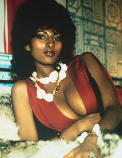 dustball443:  thecontroversydaily:  Pam Grier